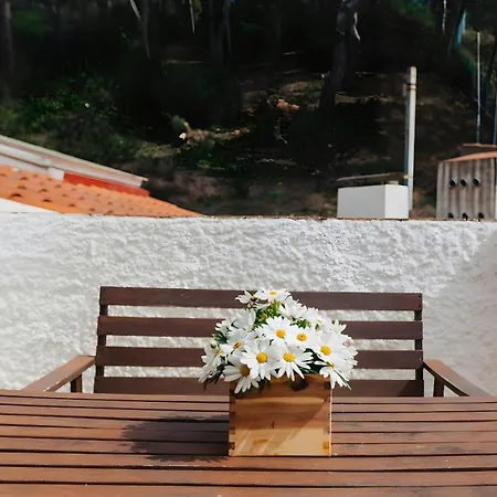 Beach 2 - Terrace Penthouse On The Beach * Tamariu